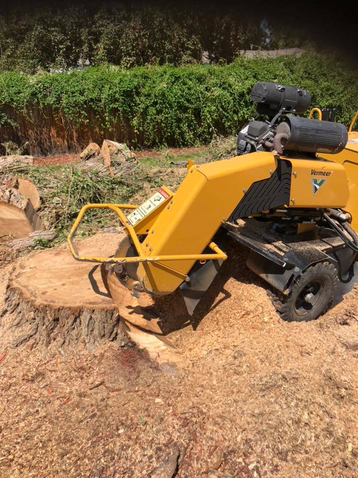 Self-propelled stump grinder cutting a stump below grade on a Lakewood lawn